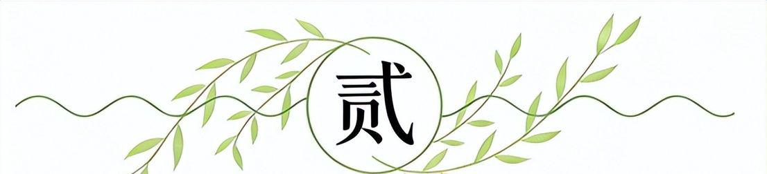 卡佩罗：克鲁伊夫枕球球只用来踢，不能拿来当枕头